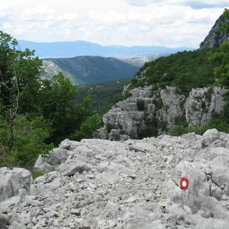 Poli Merikovih *